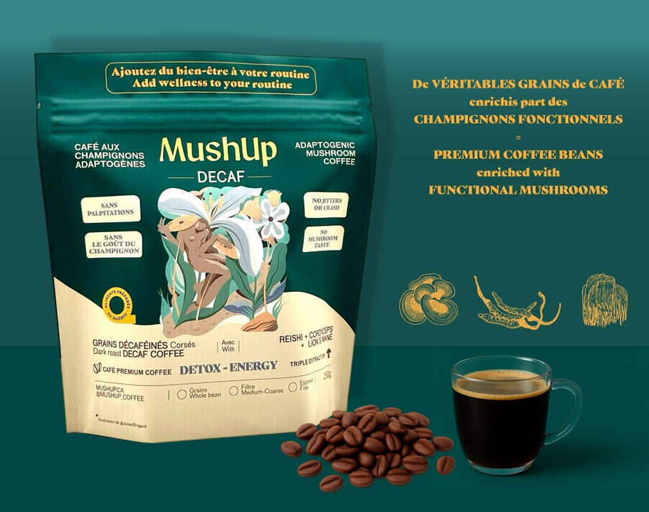 Mush Up (Mushroom Coffee)