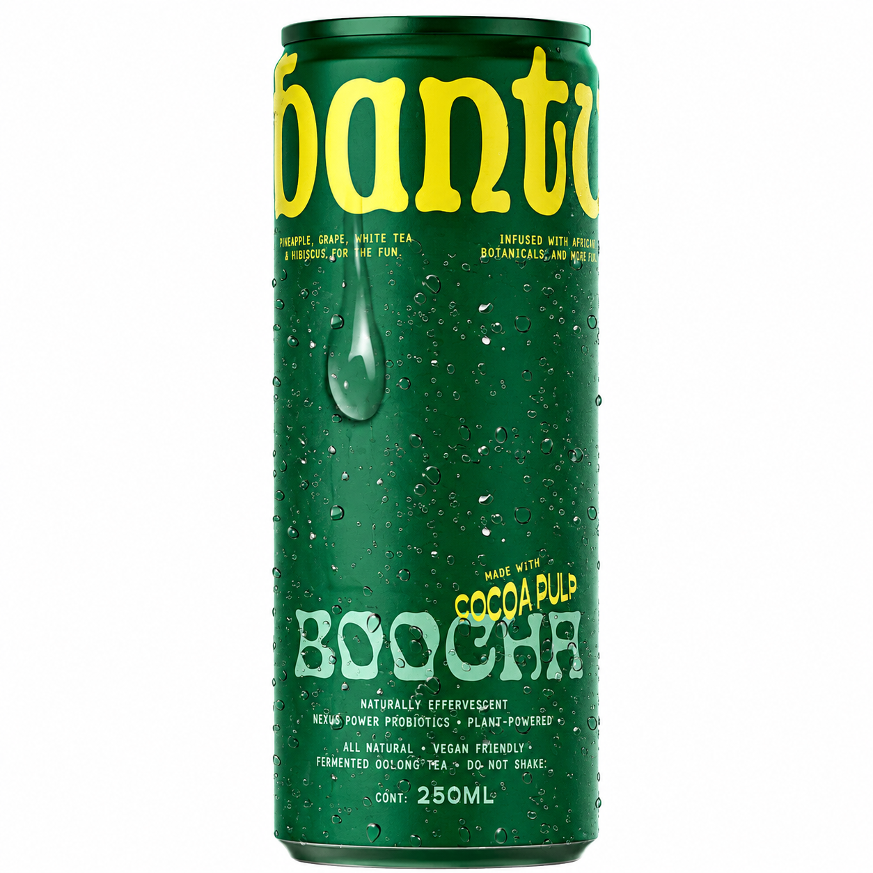 Boocha Kombucha